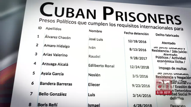 amnistia internacional nombra cinco nuevos presos de conciencia en cuba