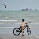 ARCHIVO - Una gaviota sobrevuela a un niño en bicicleta en una playa frente a buques comerciales anclados en el estrecho de Ormuz, en Bandar Abbas, Irán, el 7 de septiembre de 2026. (AP Foto/Vahid Salemi, archivo)