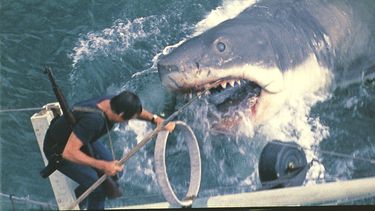 Esta imagen publicada por Peacock muestra a Roy Scheider en una escena de Jaws. (Peacock/Universal Pictures via AP)