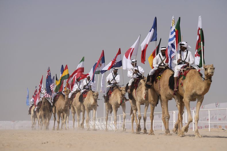 DEP-FUT MUNDIAL CONCURSO DE CAMELLOS