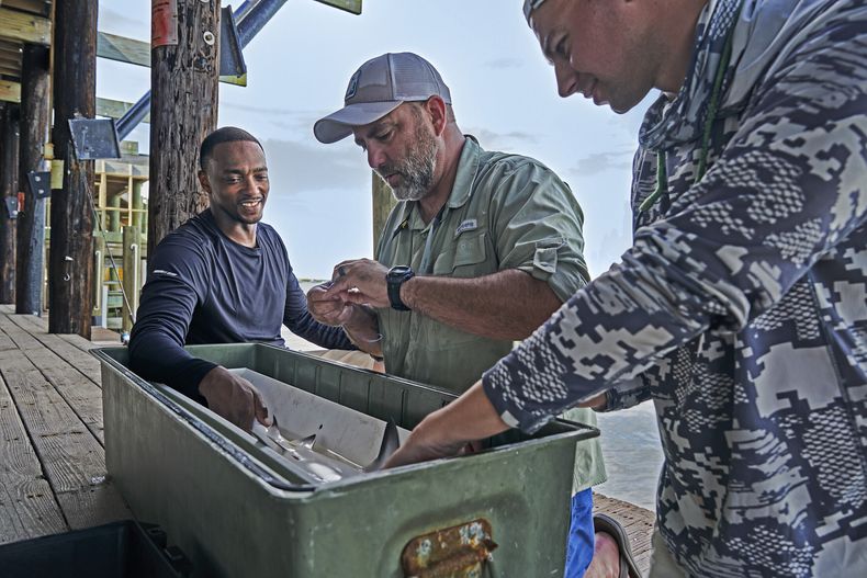 En esta imagen proporcionada por National Geographic, el actor y presentador Anthony Mackie, izquierda, con los investigadores Marcus Drymon, centro, y Christian Walker al marcar a un tiburón toro bebé en Lago Pontchartrain en Luisiana durante la filmación de Shark Beach with Anthony Mackie. (Brian Roedel/National Geographic vía AP)