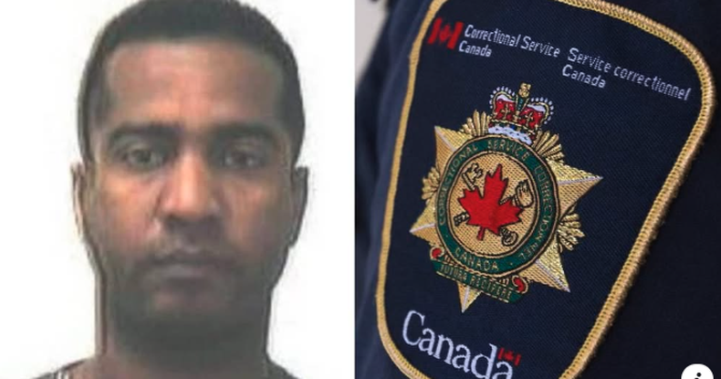 Cubano Canadá
