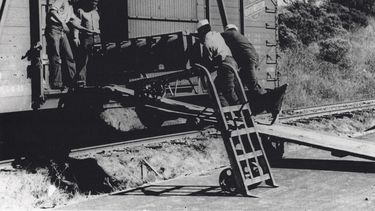 En esta foto suministrada por el Comando de Historia Naval de Estados Unidos, marineros afroestadounidenses sacan municiones de un vagón de tren, en 1943 o 1944, en Port Chicago, California. (Comando de Historia Naval de Estados Unidos/Servicio Nacional de Parques via AP)