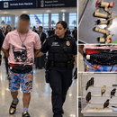 INSÓLITO: cubano llega a MIAMI de La Habana con 10 pájaros vivos escondidos en la ropa interior