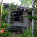 Sin casa y sin dinero: En el limbo compradores de estorbos públicos