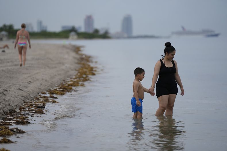 Gente chapotea en las aguas de Crandon Park, Cayo Vizcaíno, Florida, 28 de julio de 2023. Los seres humanos van naturalmente al agua para refrescarse, pero cuando la temperatura del agua es demasiado alta, se pierde ese atractivo. (AP Foto/Rebecca Blackwell)