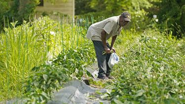 ola de calor afecta gran parte del centro y el este de eeuu
