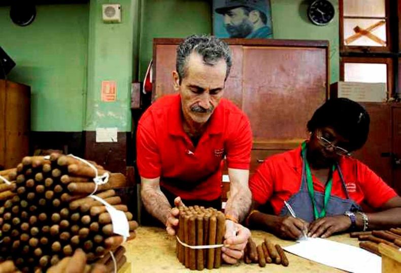Parte del proceso de producción de los habanos cubanos.