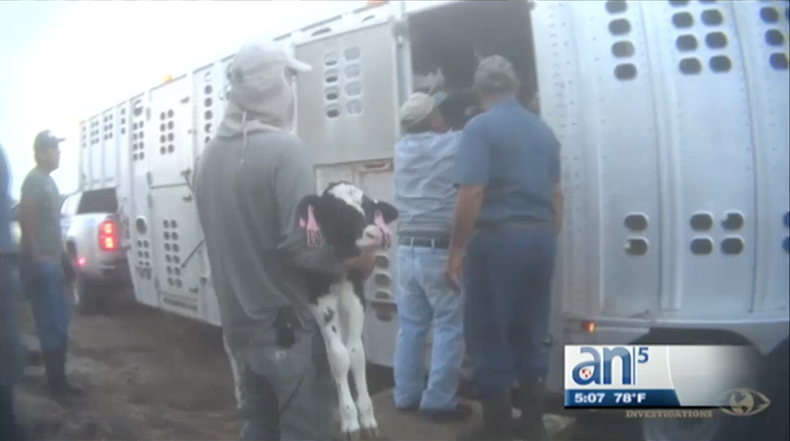 Screen Shot 2017-12-20 at 7.00.25 PM.png