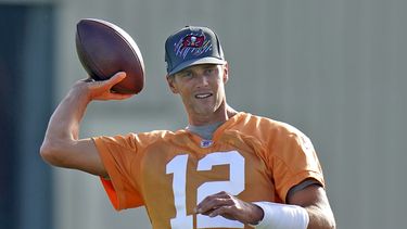 nfl suspende a dueno de dolphins por contactos con brady