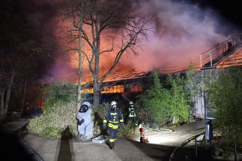 EUR-GEN_ALEMANIA-INCENDIO_EN_ZOO-0.jpg
