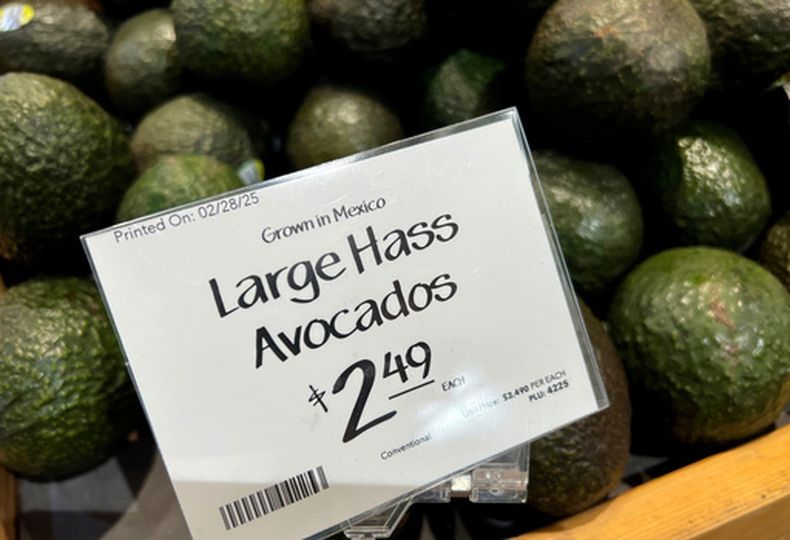 ARCHIVO – Aguacates importados de México, a la venta en un supermercado de Miami mientras Estados Unidos impone un arancel de 25% a los bienes importados de Canadá y México, iniciando una guerra comercial con sus vecinos y aliados más cercanos, el miércoles 5 de marzo de 2025. (AP Foto/Lynne Sladky, Archivo)