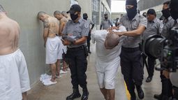 ARCHIVO - Un prisionero es trasladado mientras la secretaria de Seguridad Nacional de EEUU, Kristi Noem, visita el Centro de Confinamiento Terrorista en Tecoluca, El Salvador, el 26 de marzo de 2025. (AP Foto/Alex Brandon, Archivo)