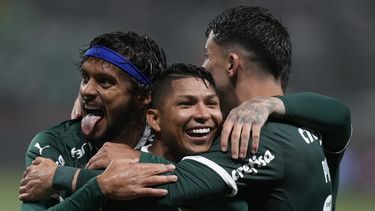 Palmeiras conquista su 11mo campeonato en Brasil