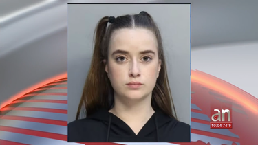 joven de 19 anos acusada de apuntar laser verde a aviones de la policia de miami dade