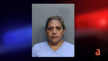 salio con su esposo a celebrar su cumpleanos y ahora esta acusada de atropellar mortalmente a un desamparado en miami