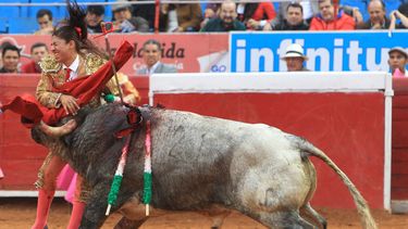 embravecido toro hirio de dos cornadas a torera mexicana y a cuatro de sus ayudantes