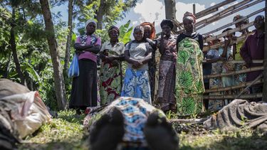 En esta fotografía del sábado 6 de mayo de 2023, familiares identifican a víctimas de inundaciones en la localidad de Nyamukubi, en la provincia de Kivu del Sur, República Democrática del Congo. (AP Foto/Moses Sawasawa)