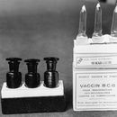 ¿Podrían vacunas viejas ayudar a proteger contra COVID-19?