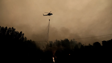 asciende a 22 el numero de muertos en virulentos incendios de chile
