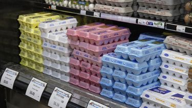 Demócratas piden investigar fuerte aumento en los precios de los huevos
