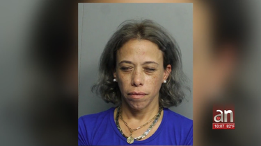 arrestan a la mujer que robo el perrito que involucro al cantante cubano lenier