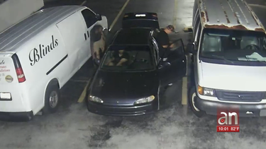 buscan a banda que se dedica a robar cataliticos de autos en miami