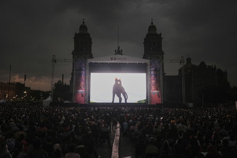 Personas ven la película Flow en una pantalla gigante en el Zócalo, la plaza principal de la Ciudad de México, el miércoles 30 de abril de 2024. (Foto AP/Eduardo Verdugo)