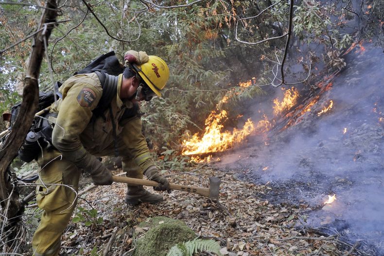 AMN-GEN_TRUMP-INCENDIOS-0.jpg