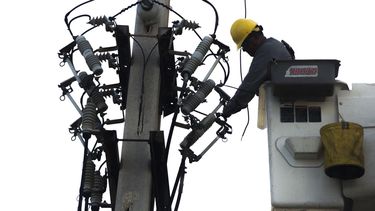 la aee busca mas celadores