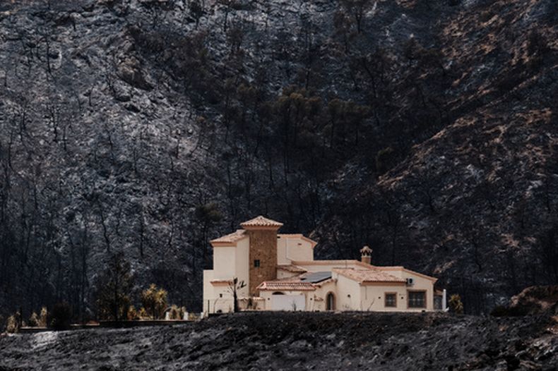 Una zona quemada por un incendio forestal se ve en Bedar, cerca de Almería, España, el sábado 11 de julio de 2026. (AP Foto/Gregorio Marrero)