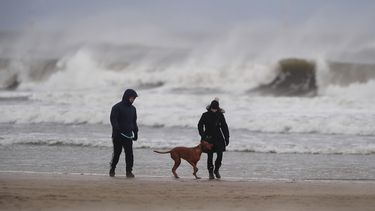 Una pareja pasea a sus perros en Tynemouth Longsandsm en la costa noreste de Newcastle, Inglaterra, el martes 31 de diciembre de 2024. (Owen Humphreys/PA vía AP)