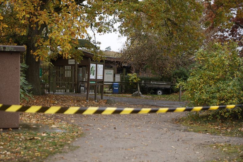 La entrada del Parque de Vida Silvestre Johannesmuehle se ve cerrada tras un ataque de lobo a una niña en Baruth, al norte de Berlín, Alemania, el miércoles 28 de octubre de 2026. (Carsten Koall/dpa via AP)