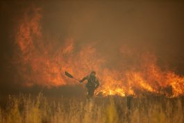 Incendios forestales y ola de calor agobian a España