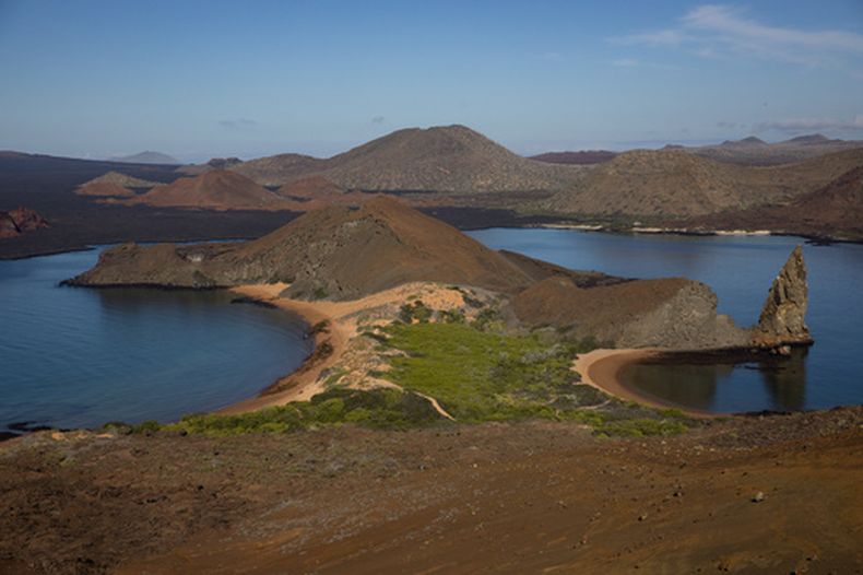 ARCHIVO - Suculentas adaptadas al agua salada crecen junto al agua en la isla Bartolomé, de Galápagos, Ecuador, el 7 de junio de 2024. (AP Foto/Alie Skowronski, Archivo)