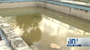 americateve | Los problemas en los condominios no cesan. Es el caso de Mango Hill # 9, en el West de Hialeah, donde hay preocupaciones por la salud de los vecinos.