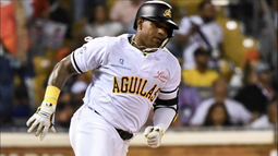 lesion de cespedes en la liga dominicana  pone en duda su participacion con el equipo cuba en el clasico