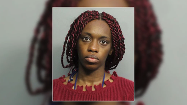 arrestan a una mujer embarazada por dispararle en la pierna a otra en medio de una discusion en miami beach