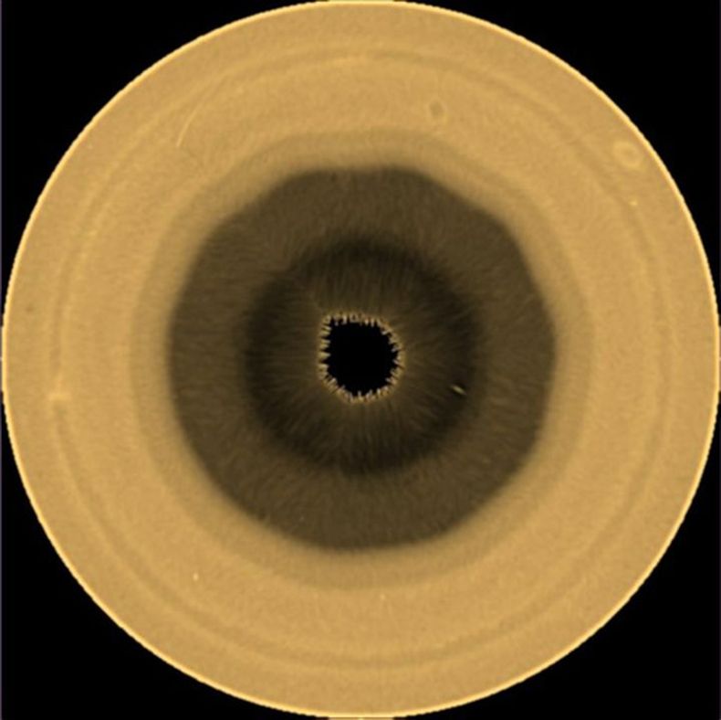 Esta foto proporcionada por NASA/ESA/A. Sánchez Lavega (Universidad del País Vasco) muestra un patrón de nubes en el polo sur de Saturno, el sábado 29 de agosto de 2026. (NASA/ESA/A. Sánchez Lavega, Universidad del País Vasco, EHU, vía AP)