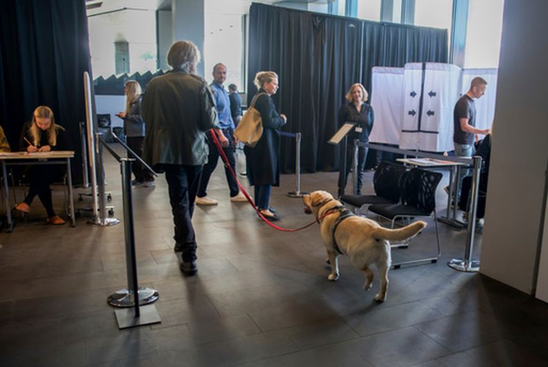Votantes y trabajadores electorales dentro de un colegio electoral en el Ayuntamiento de Reikiavik, en Islandia, durante un referendo sobre reanudar las negociaciones para unirse a la Unión Europea, el sábado 29 de agosto de 2026. (Foto AP/Marco Di Marco)