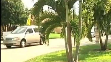 americateve | Vecinos de un complejo residencial del suroeste de Miami están en pie de guerra contra el condado luego de que las autoridades les exigieron cortar unas palmas ornamentales colocadas frente a una escuela.