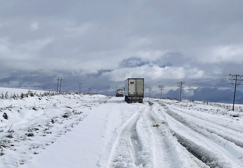 La nieve cubre a la carretera N2 hacia Nolangeni, Sudáfrica, el 10 de junio del 2025. (Municipalidad de Kokstad via AP)