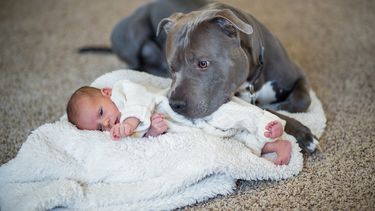 ¿ASESINOS O AMOROSOS?