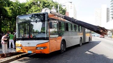 Sin cambios en el transporte urbano