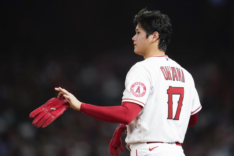 DEP-BEI OHTANI-HECHO EN JAPÓN