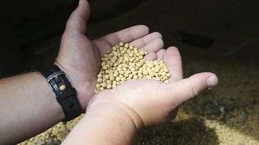 EEUU y China intercambian gestos conciliadores en comercio