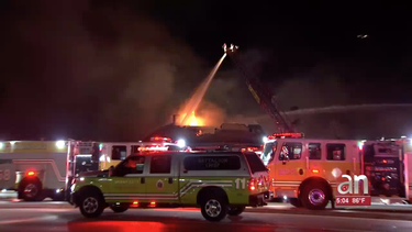 incendio en el pet loss center de miami-dade