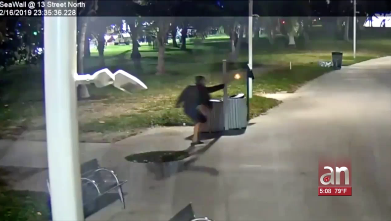 Screen Shot 2019-02-20 at 7.15.38 PM.png