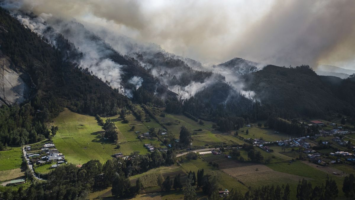 Colombia combate 23 incendios en época del fenómeno de El Niño