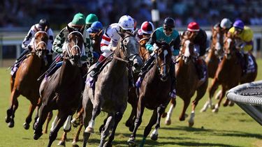 americateve | Ya abrió el hipódromo en el Casino de Hialeah.